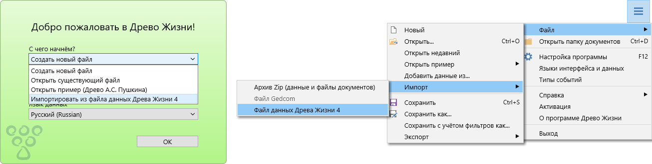 Импорт из Древа Жизни 4