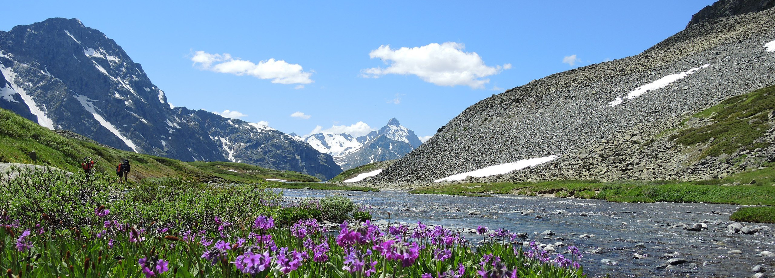 Agelong Tree summer holidays