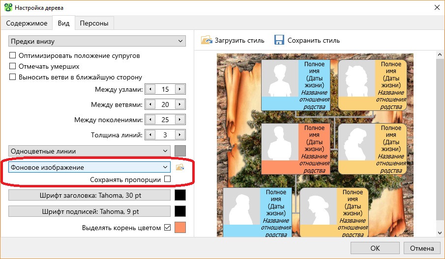 Установка фоновой фотографии для генеалогического дерева