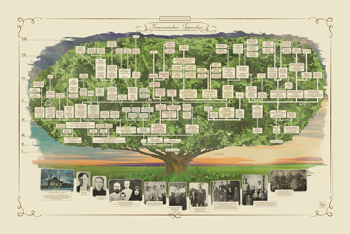 Пример дизайна генеалогического древа